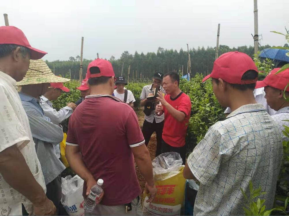 TIM截图20190813145603.jpg