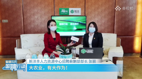 新洋丰专场云宣讲直播间.png