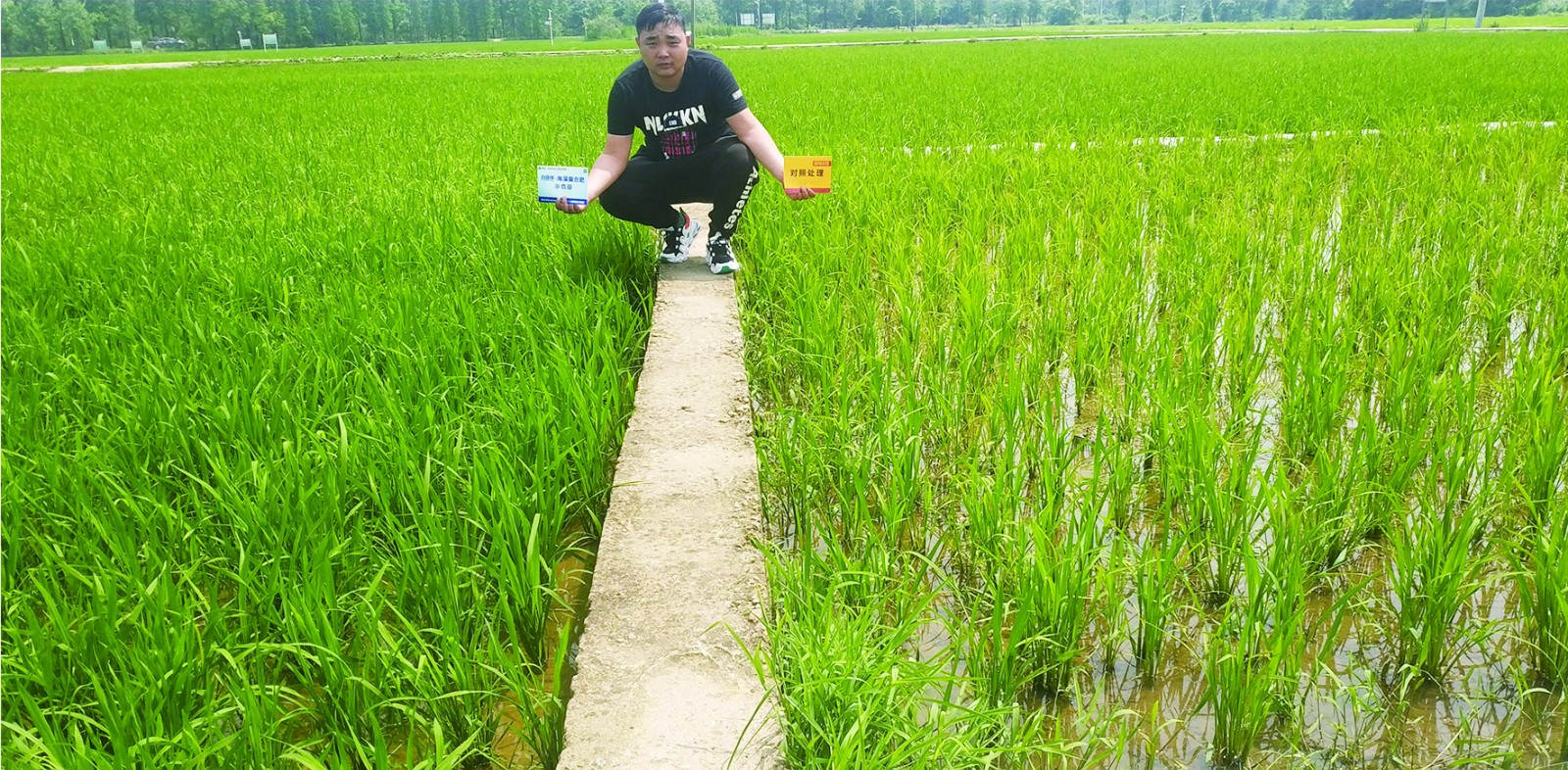示范田长势好，挂果多ssssss_meitu_2.jpg