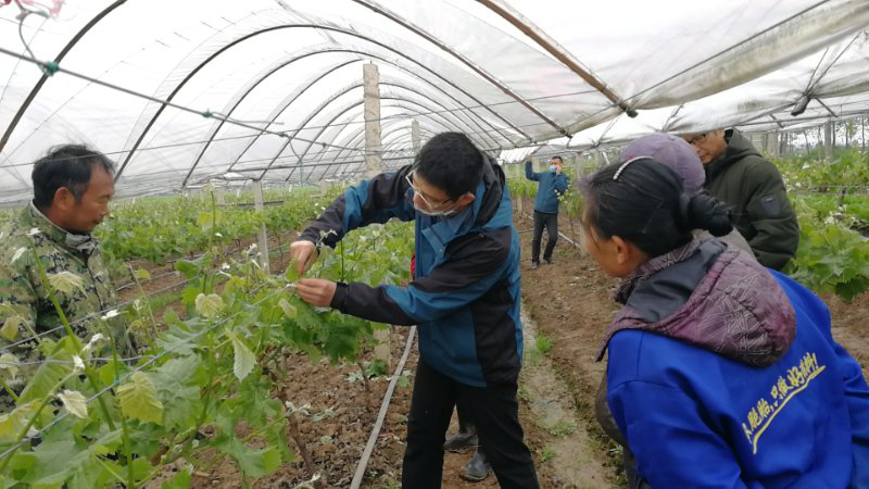 微信图片_20200901082811.png