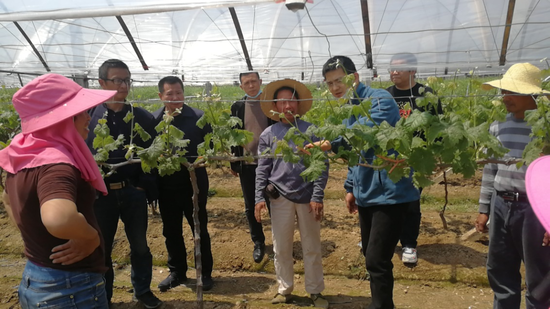 微信图片_20200901082838.png