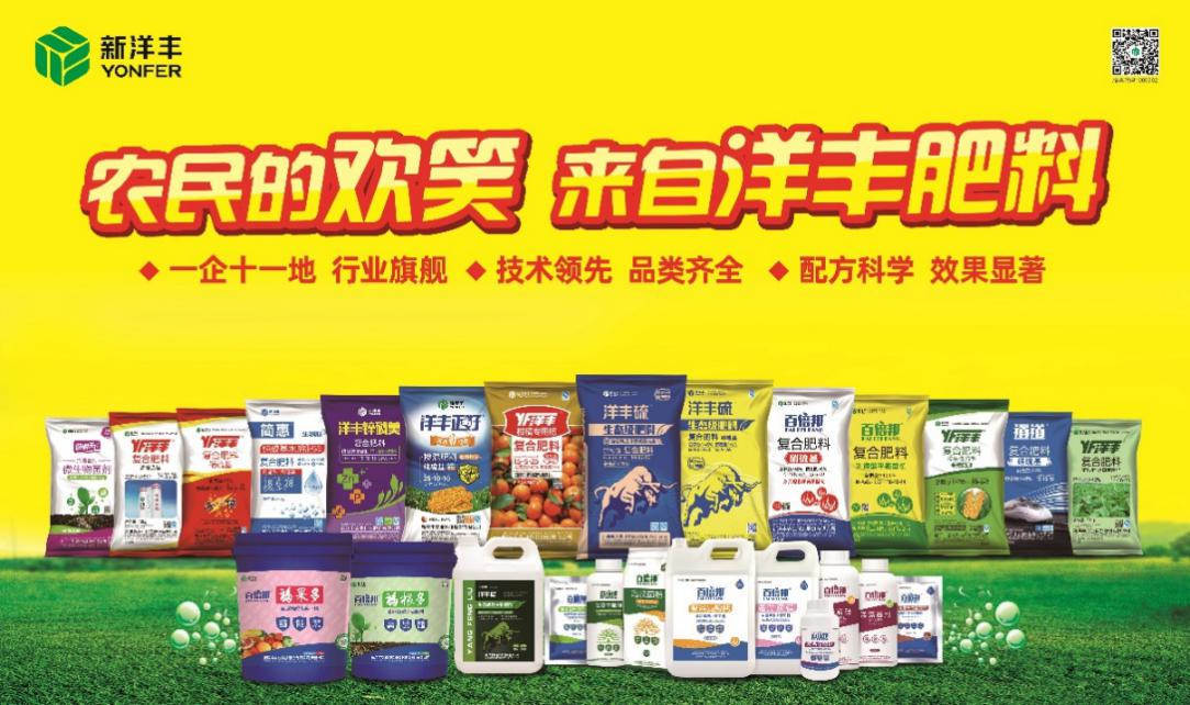 新洋丰产品组合.jpg