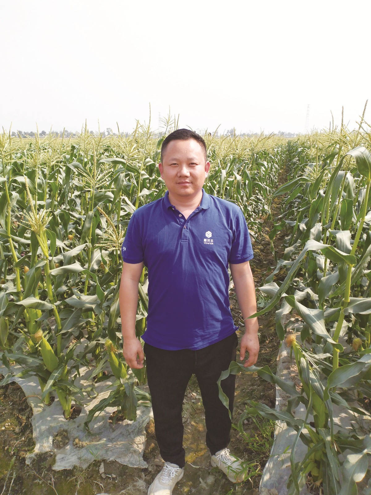 吴明飞在跟踪玉米长势_副本.jpg