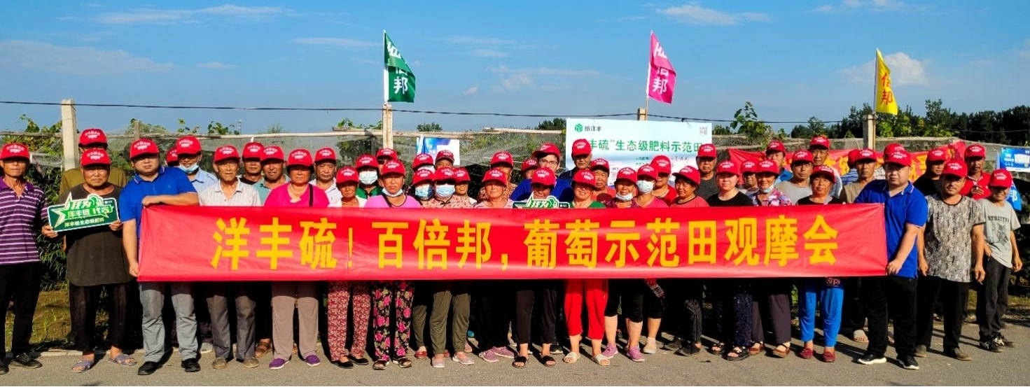 大合影.jpg