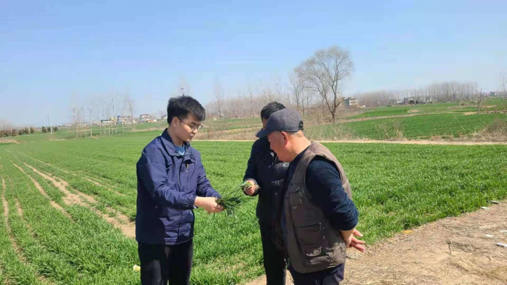 深入田间地头对种植户进行技术指导.jpg