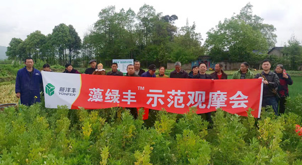 观摩会现场_副本.jpg