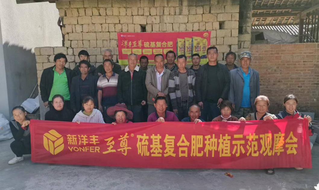 杨老板田里开观摩会.jpg