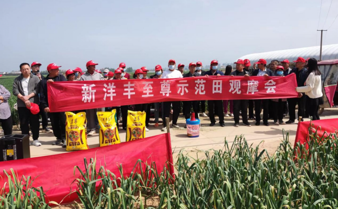 洋丰观摩会现场合影留念.jpg
