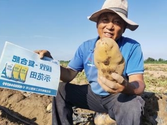 种植户展示土豆.jpg