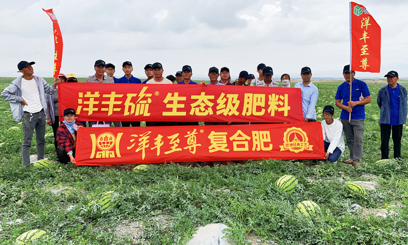 图片1合影_副本.jpg