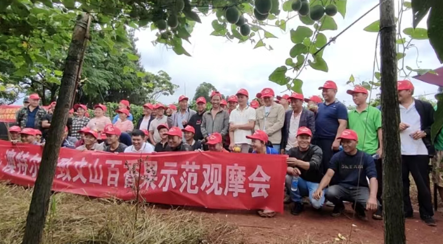 大合影.jpg