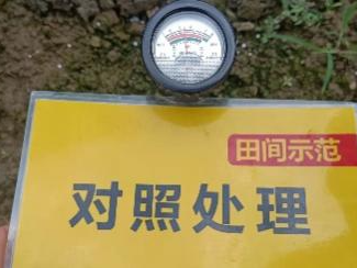 对照田PH.jpg