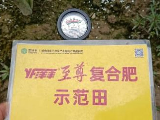 示范田PH.jpg