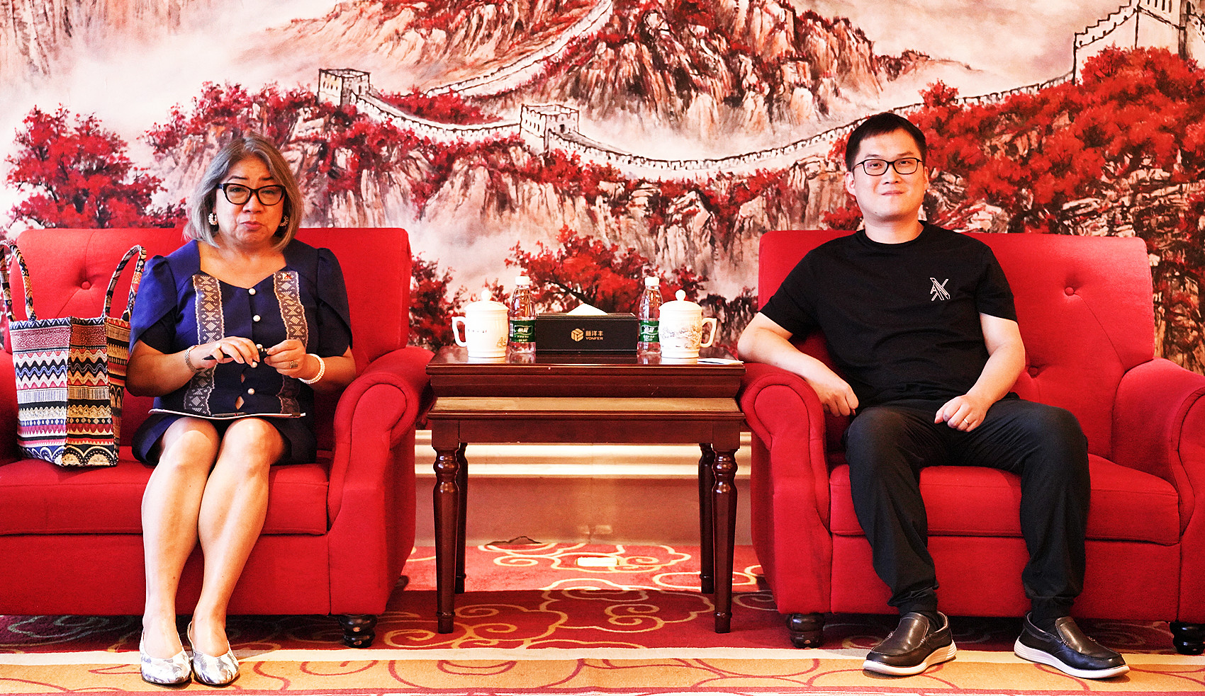 Ana GM. B. Abejuela参赞（左）和新洋丰执行总裁杨磊（右）正在会谈中.jpg